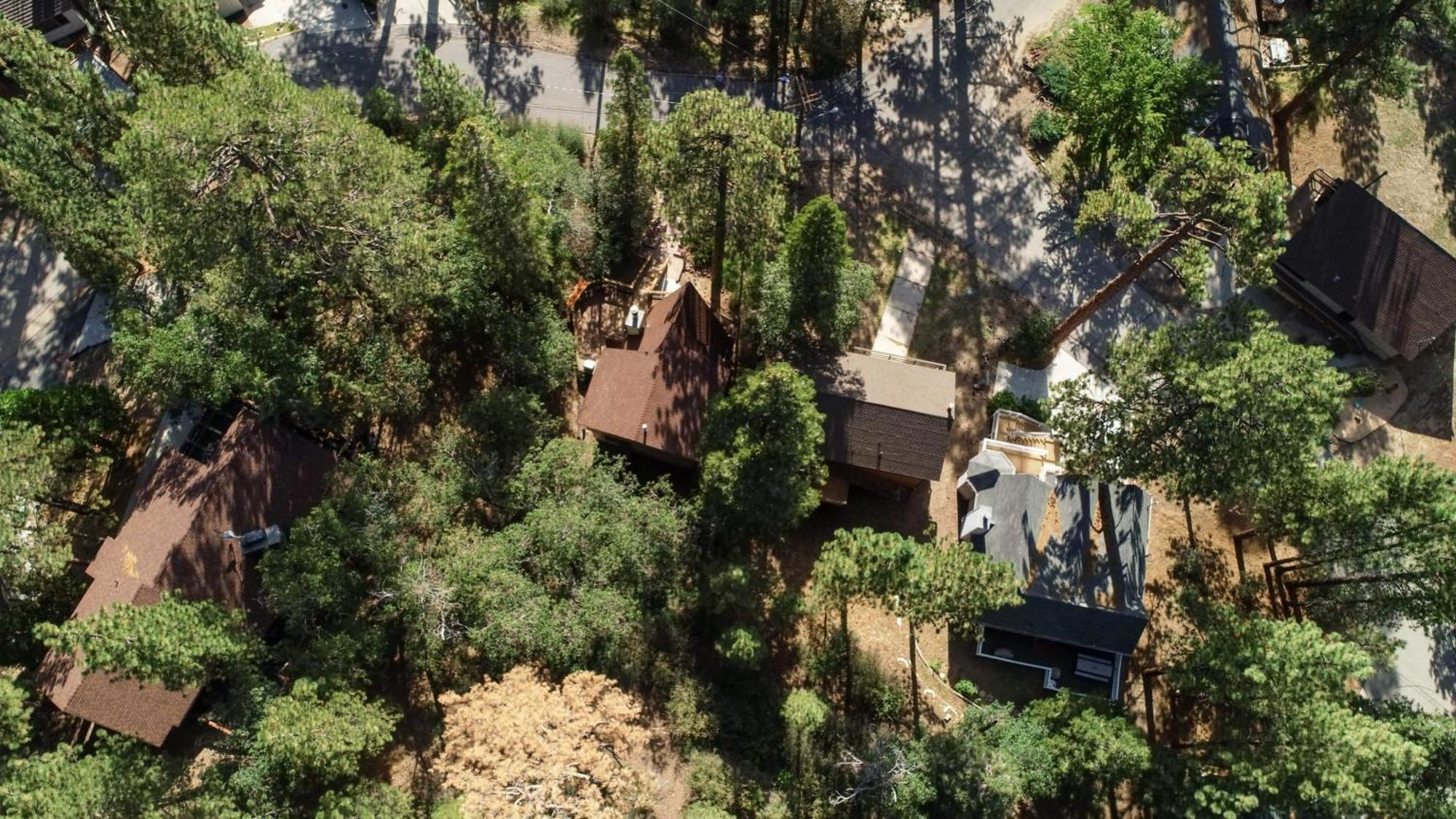 ביג בר לייק Bear'S Lair By Avantstay 3Mins From Bear Mountain Ski Resort מראה חיצוני תמונה